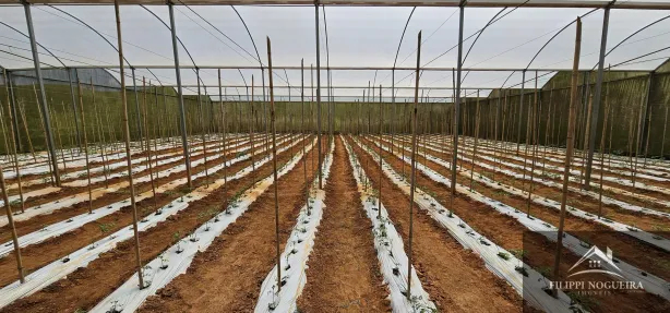 Fazenda / Sítio / Chácara com 4 Quartos à venda, 7395m² no Avelar, Paty do Alferes
