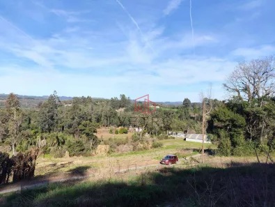 Fazenda / Sítio / Chácara à venda, 18369m² no Alto Padre Eterno, Santa Maria do Herval