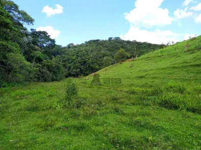 Fazenda / Sítio / Chácara com 3 Quartos à venda, 1016400m² no Granjas Rurais Reunidas São Judas Tadeu, Taubaté