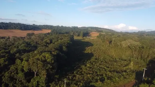 Fazenda / Sítio / Chácara à venda, 44000m² no Área Rural de Almirante Tamandaré, Almirante Tamandaré