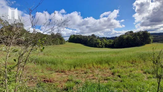 Terreno / Lote / Condomínio à venda, 96800m² no Rondinha, Campo Largo