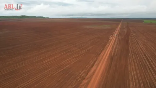 Fazenda / Sítio / Chácara à venda, 100190000m² no , Pedro Afonso
