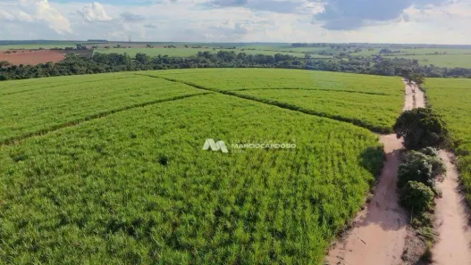 Fazenda / Sítio / Chácara com 3 Quartos à venda, 500m² no Monte Azul Paulista, Monte Azul Paulista