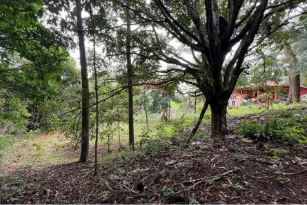 Terreno / Lote / Condomínio à venda, 625m² no Setor de Mansões do Lago Norte, Brasília