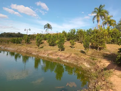 Fazenda / Sítio / Chácara com 3 Quartos à venda, 390000m² no Área Rural de Novo Gama, Novo Gama