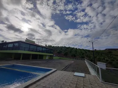 Fazenda / Sítio / Chácara com 4 Quartos à venda, 2650000m² no Alto José Leal, Vitória de Santo Antão