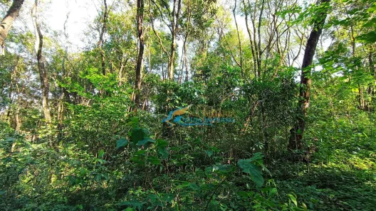 Fazenda / Sítio / Chácara à venda, 24200m² no São João d'Oeste, Cascavel
