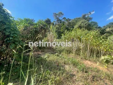 Terreno / Lote Comercial à venda, 360m² no , Florestal