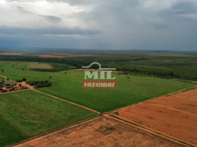 Fazenda / Sítio / Chácara à venda, 500m² no Setor Central, Ponte Alta do Tocantins