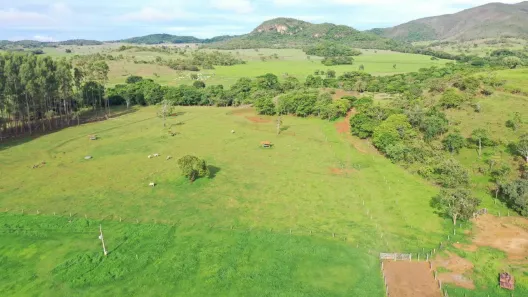 Fazenda / Sítio / Chácara com 4 Quartos à venda, 6000000m² no , Padre Bernardo