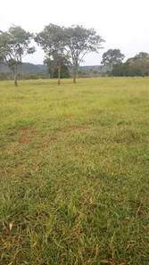 Fazenda / Sítio / Chácara à venda, 280000m² no Centro, Formosa