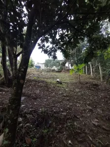 Fazenda / Sítio / Chácara com 2 Quartos à venda, 80m² no Ponunduva, Cajamar