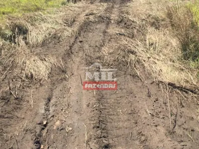 Fazenda / Sítio / Chácara à venda, 7260000m² no , Lagoa da Confusão