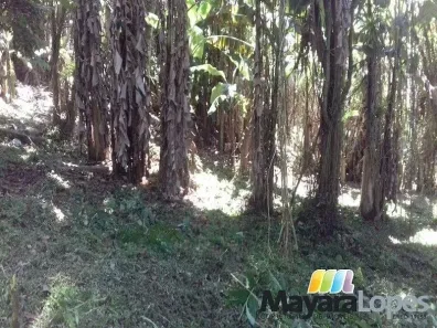 Terreno / Lote / Condomínio à venda, 990m² no Rocio Pequeno, São Francisco do Sul