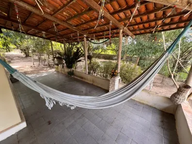 Fazenda / Sítio / Chácara com 5 Quartos à venda, 3600m² no , Conde
