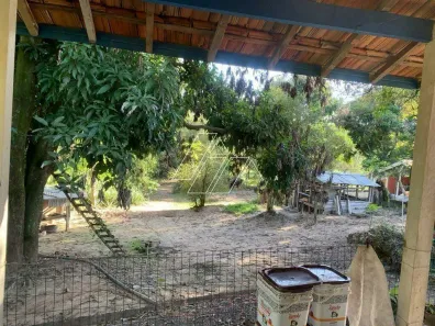 Fazenda / Sítio / Chácara para alugar, 450m² no Área Rural de Marília, Marília