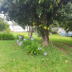 Fazenda / Sítio / Chácara com 2 Quartos à venda, 125m² no Parque Monte Bianco, Araçoiaba da Serra
