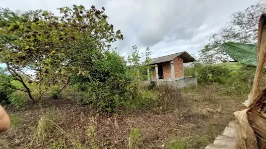 Fazenda / Sítio / Chácara com 4 Quartos à venda, 20800m² no Chácara Marambaia, Caçapava