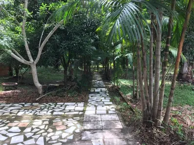 Fazenda / Sítio / Chácara com 2 Quartos à venda, 181660m² no Centro, Morros