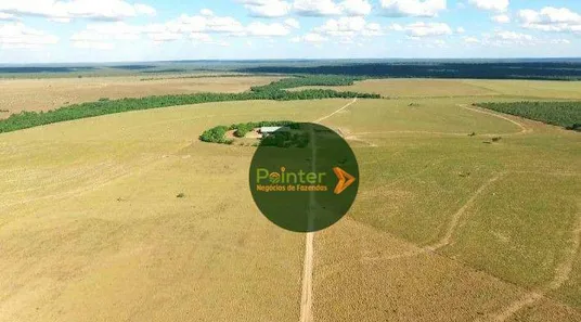 Fazenda / Sítio / Chácara à venda, 173707600m² no Presidente Kennedy, Presidente Kennedy