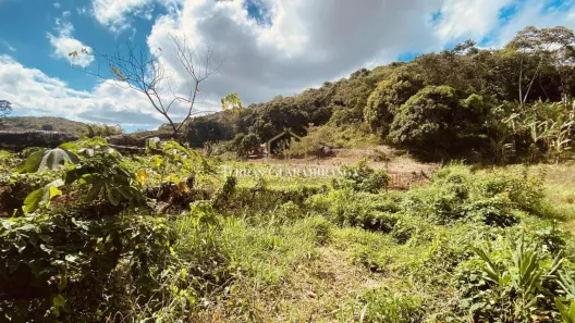 Terreno / Lote / Condomínio à venda, 20000m² no , Pacoti