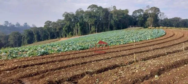 Terreno / Lote / Condomínio à venda, 81335m² no Jardim São Marcos, Itapevi