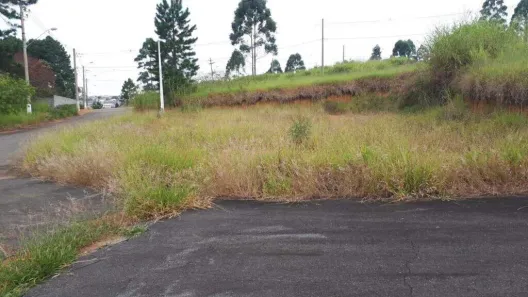 Terreno / Lote / Condomínio à venda, 250m² no Jardim Cury, Arujá