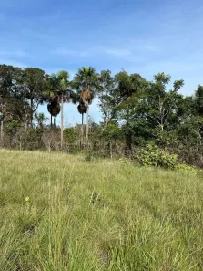 Fazenda / Sítio / Chácara à venda, 2613600m² no , Ponte Alta do Tocantins