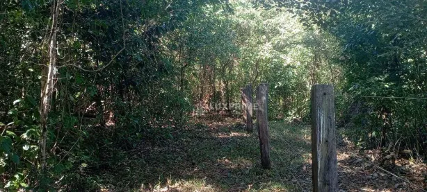 Fazenda / Sítio / Chácara à venda, 1190278m² no Jardim Brasilia I, Ponte Alta do Tocantins