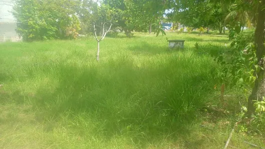Terreno / Lote / Condomínio à venda, 4450m² no Jauá (Abrantes), Camaçari