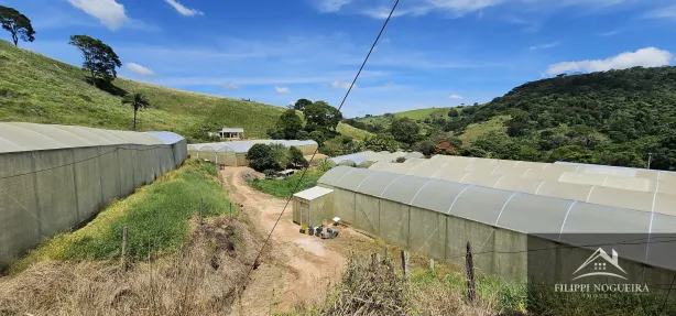 Fazenda / Sítio / Chácara com 4 Quartos à venda, 7395m² no Avelar, Paty do Alferes