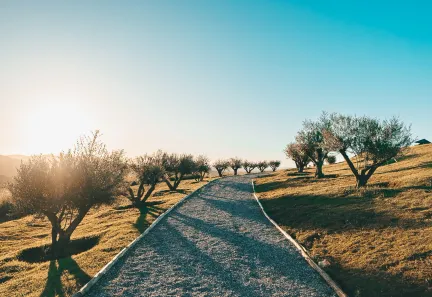 Terreno / Lote / Condomínio à venda, 1530m² no Julioca, Areal