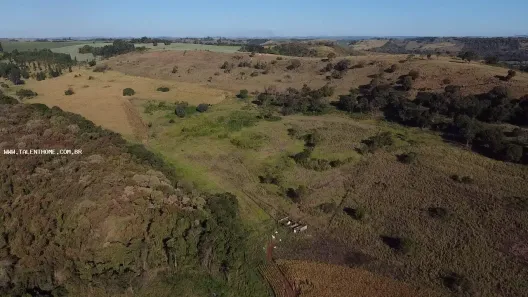 Terreno / Lote Comercial à venda, 508000m² no , Assaí