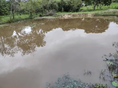 Terreno / Lote / Condomínio à venda, 20000m² no , Fortuna de Minas