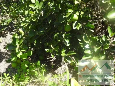 Fazenda / Sítio / Chácara com 2 Quartos à venda, 86000m² no , Tanguá