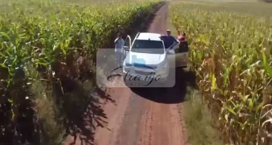 Fazenda / Sítio / Chácara à venda, 3455m² no , Lagoa da Confusão