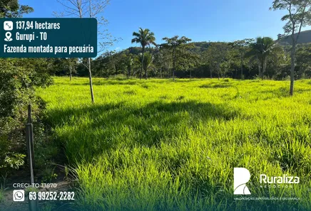 Fazenda / Sítio / Chácara à venda, 137m² no Setor Central, Gurupi