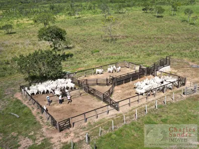 Fazenda / Sítio / Chácara com 4 Quartos à venda, 4065600m² no , Paranã