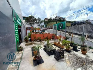 Galpão / Depósito / Armazém para alugar, 731m² no Várzea, Teresópolis