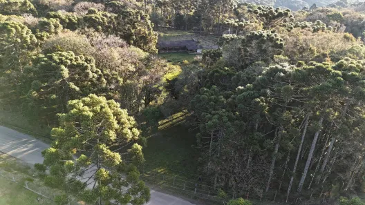 Fazenda / Sítio / Chácara à venda, 20031m² no Quatro Barras, Quatro Barras