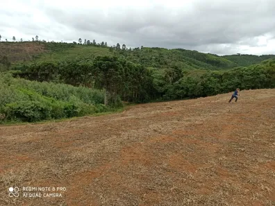 Fazenda / Sítio / Chácara à venda, 95465m² no Morro Azul, Almirante Tamandaré