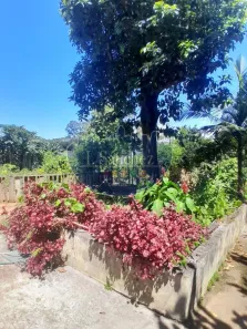 Fazenda / Sítio / Chácara com 2 Quartos à venda, 151m² no Chácara Cuiabá, Itaquaquecetuba