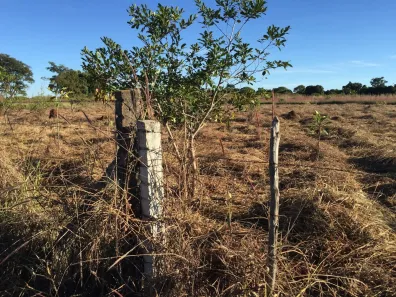 Fazenda / Sítio / Chácara à venda, 20000m² no Núcleo Rural Lago Oeste, Brasília