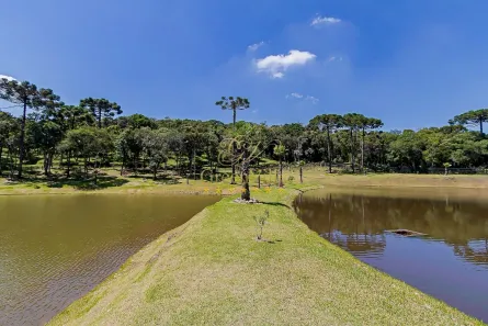 Fazenda / Sítio / Chácara com 8 Quartos à venda, 90000m² no Colônia Murici, São José dos Pinhais