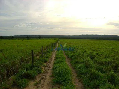 Fazenda / Sítio / Chácara com 1 Quarto à venda, 15070000m² no , Pedro Afonso
