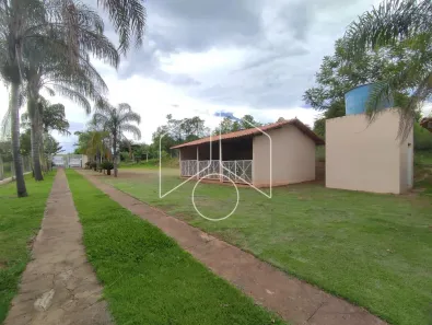 Fazenda / Sítio / Chácara com 3 Quartos para alugar, 5000m² no Sítios de Recreio Morada do Sol, Marília