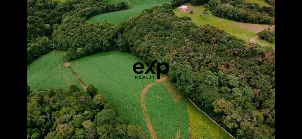 Fazenda / Sítio / Chácara com 3 Quartos à venda, 20999m² no Centro, Campo Largo