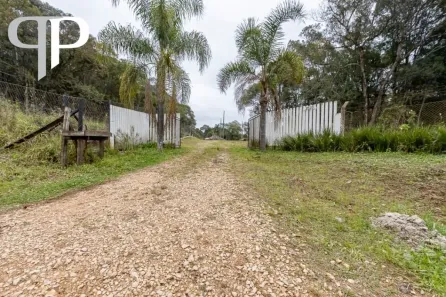 Fazenda / Sítio / Chácara com 3 Quartos à venda, 37000m² no mandassaia, Campina Grande do Sul