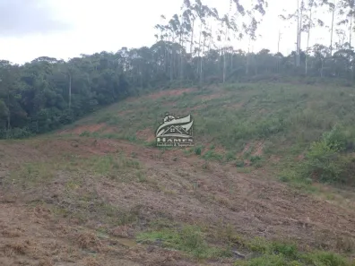 Terreno / Lote / Condomínio à venda, 23421m² no , São Pedro de Alcântara