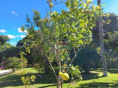 Fazenda / Sítio / Chácara com 3 Quartos à venda, 3936m² no Paruru, Ibiúna